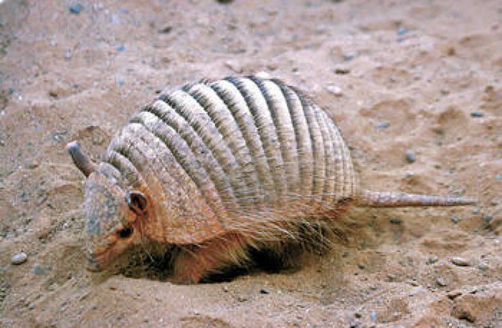 WhatsApp-Image-2023-12-09-at-17.56.52