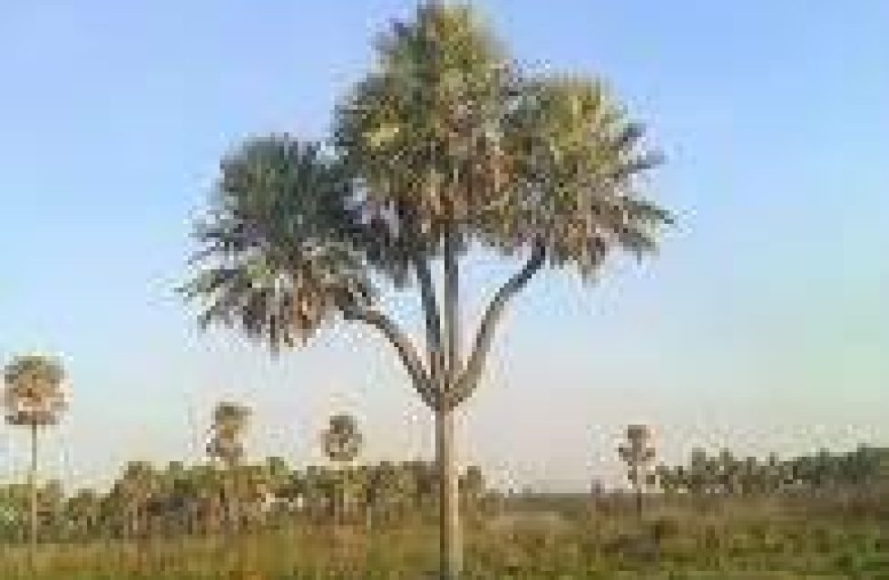 WhatsApp-Image-2024-08-10-at-14.32.27