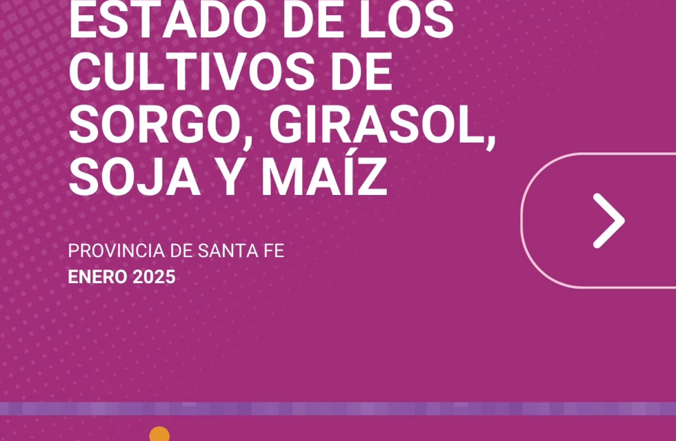 WhatsApp Image 2025-02-11 at 12.09.00