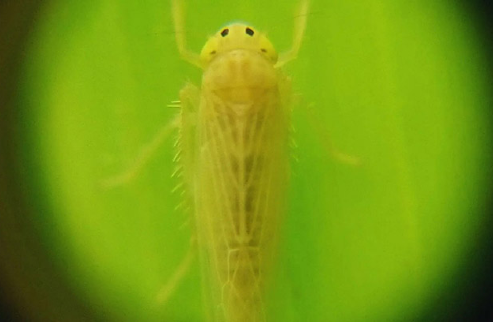 imagen_2025-01-09_115345080